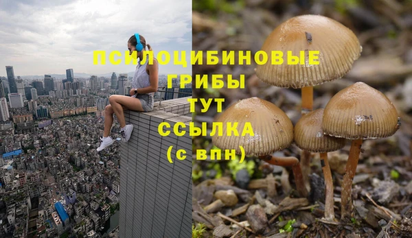 не бодяженный Армянск