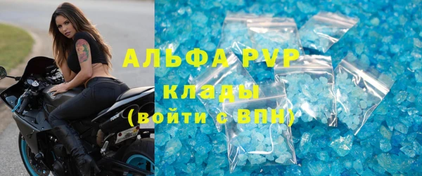 spice Аркадак