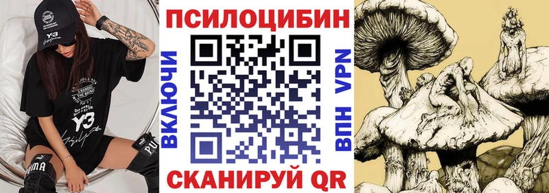ссылка на мегу tor  Покачи  Псилоцибиновые грибы Cubensis 