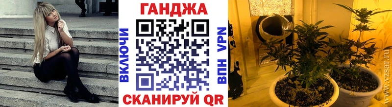 где купить наркотик  Покачи  kraken маркетплейс  Шишки марихуана индика 